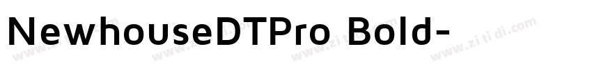 NewhouseDTPro Bold字体转换
